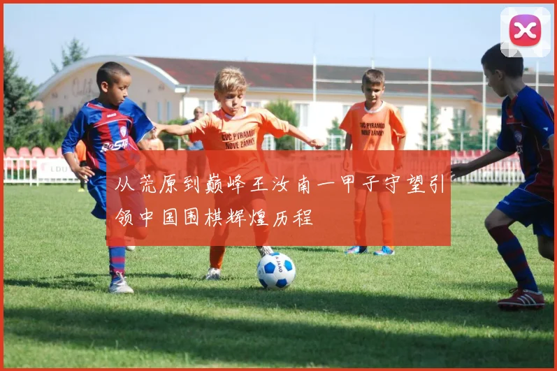 从荒原到巅峰王汝南一甲子守望引领中国围棋辉煌历程