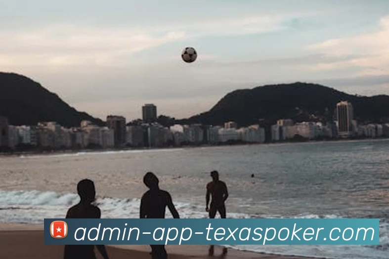 多媒体互动体验